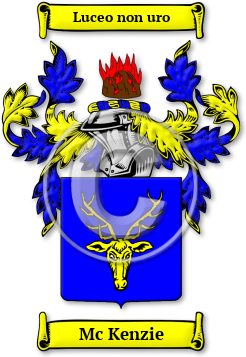 Mc Kenzie Family Crest Download (JPG) Legacy Series - 600 DPI